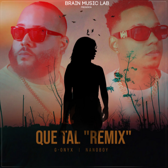 Que Tal - Remix cover